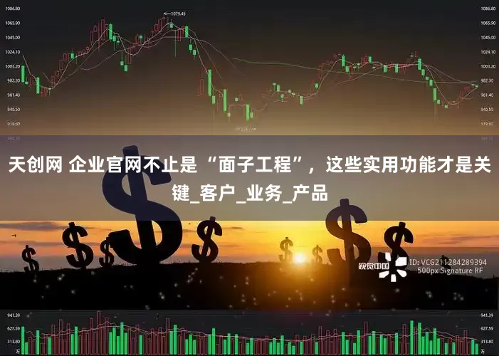 天创网 企业官网不止是 “面子工程”，这些实用功能才是关键_客户_业务_产品