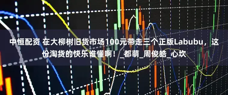 中恒配资 在大柳树旧货市场100元带走三个正版Labubu，这份淘货的快乐谁懂啊！_都萌_周俊皓_心坎
