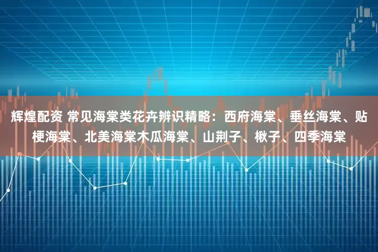 辉煌配资 常见海棠类花卉辨识精略：西府海棠、垂丝海棠、贴梗海棠、北美海棠木瓜海棠、山荆子、楸子、四季海棠