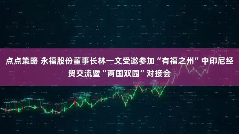 点点策略 永福股份董事长林一文受邀参加“有福之州”中印尼经贸交流暨“两国双园”对接会